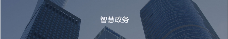智慧政务