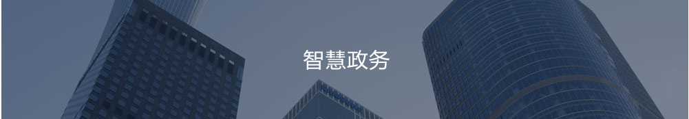 智慧政务